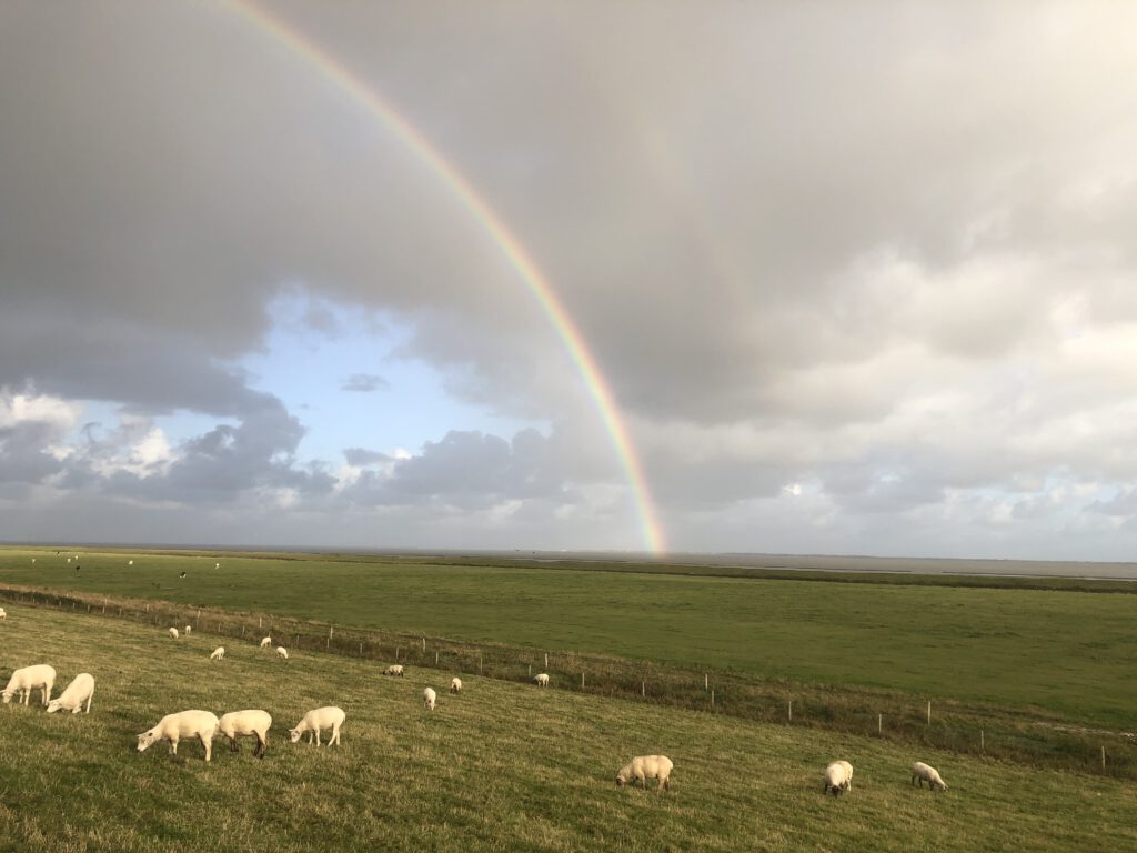 Regenbogen hinter dem Deich